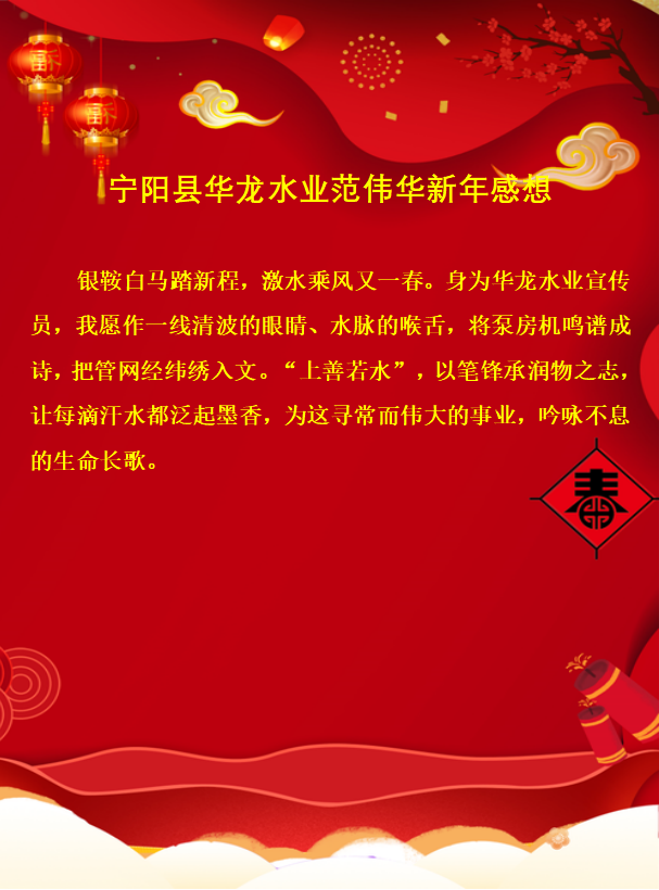 宁阳华龙水业新年感想